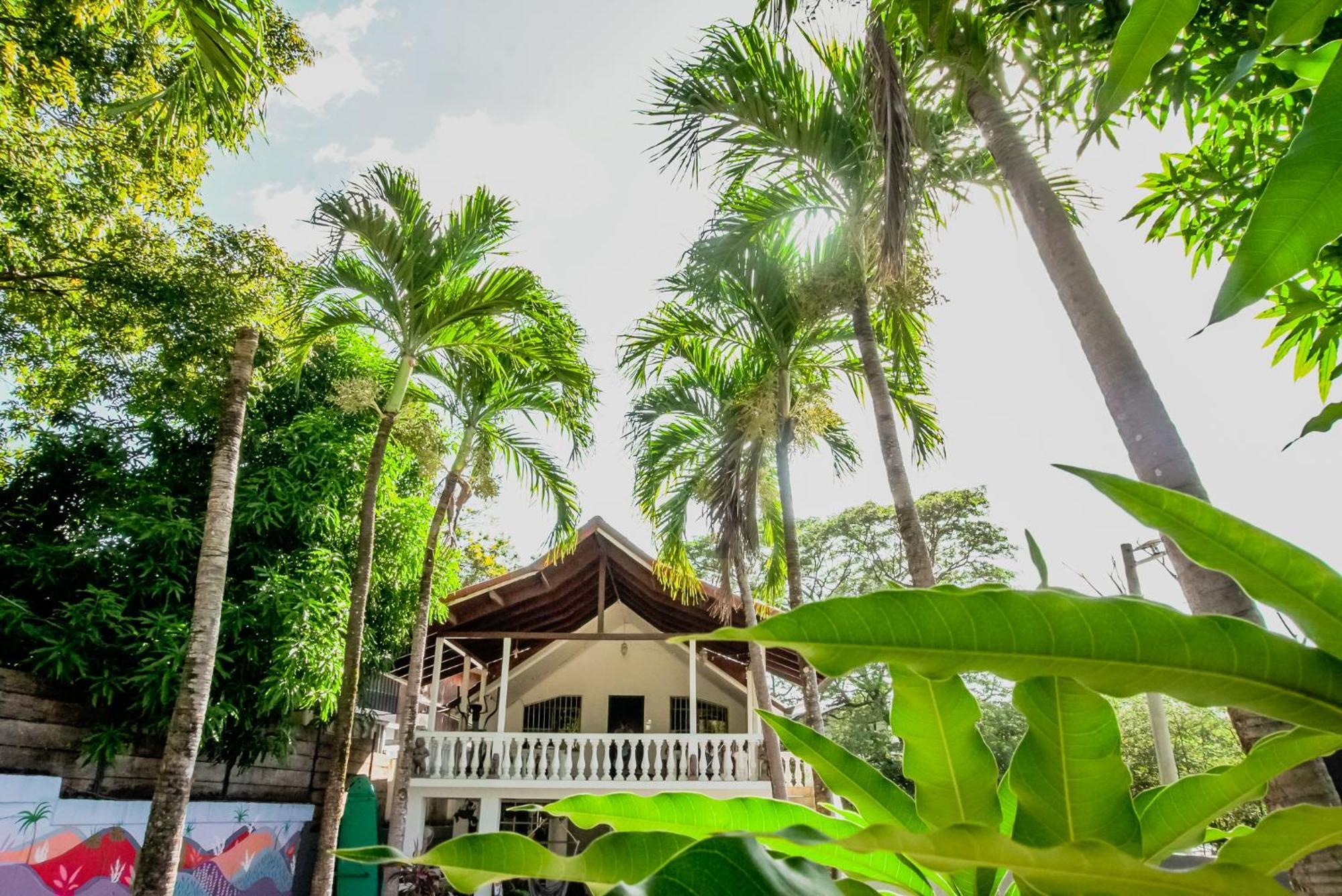 Mai Ke Kai Surf House Hostel Tamarindo Ngoại thất bức ảnh